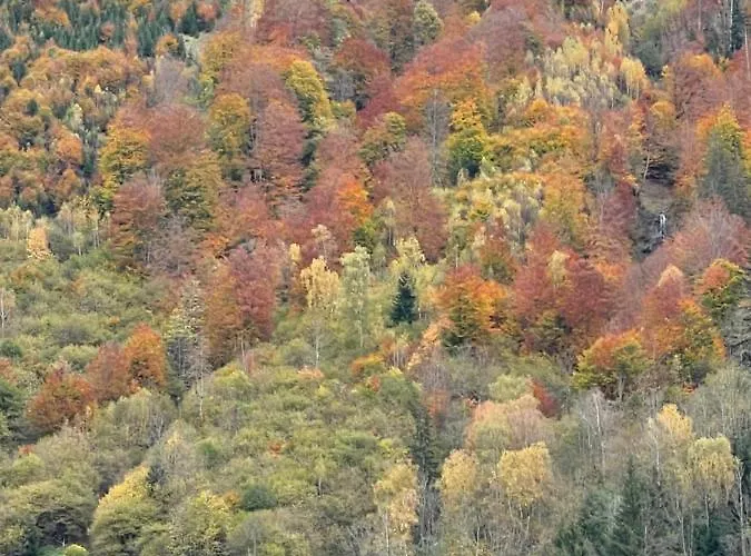 Captains Sunny At Sigl With Summercard * Τσελ αμ Ζέε